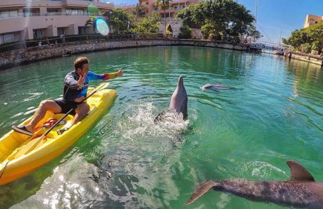 Puerto Aventuras, Departamento A Unos Pasos De La Playa Apartment Bagian luar foto